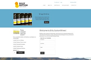 Vin65 Portfolio - Billy Button Wines