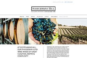 Vin65 Portfolio - Scotchmans Hill