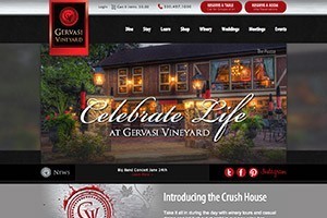 Vin65 Portfolio - Gervasi Vineyard