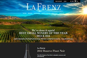 Vin65 Portfolio - La Frenz