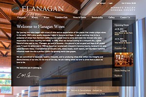 Vin65 Portfolio - Flanagan Wines